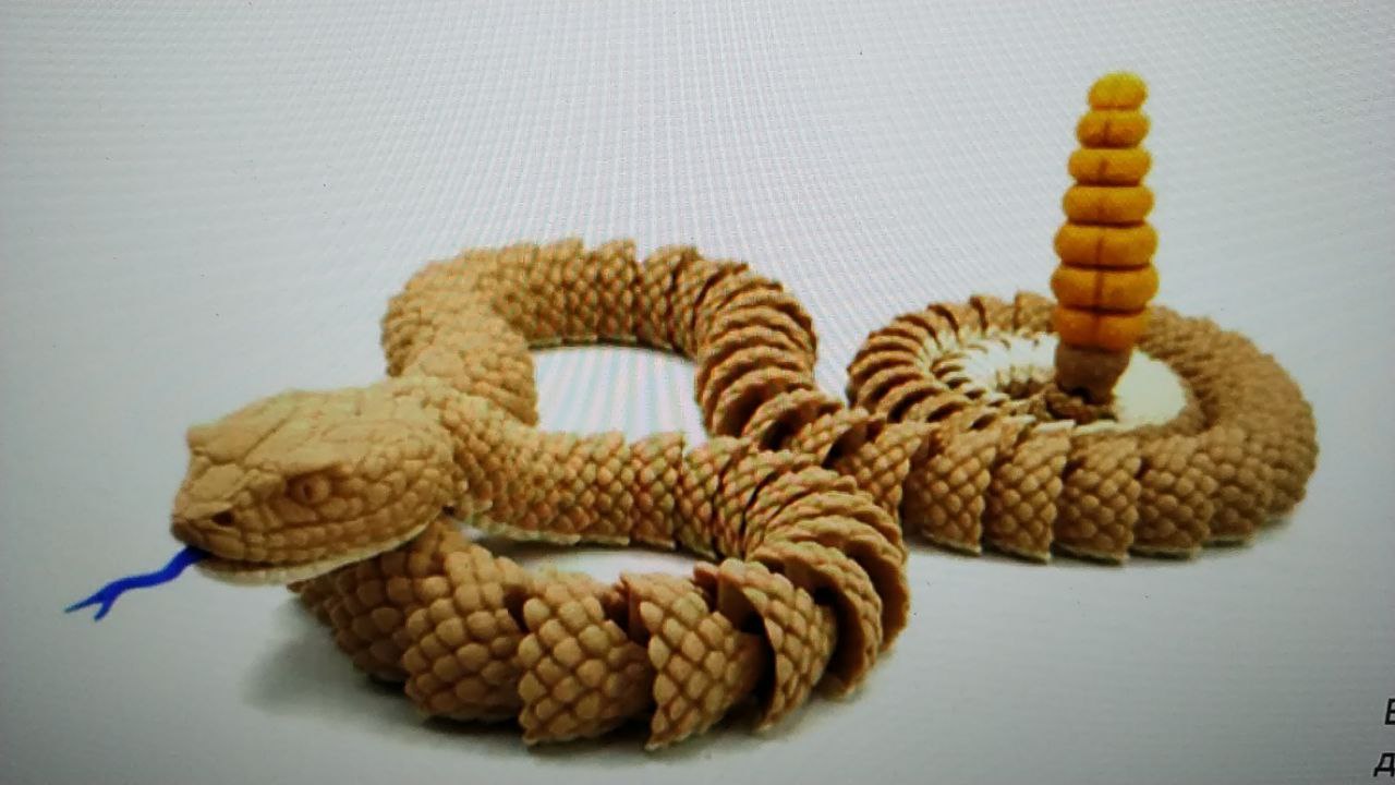Snake_and_Rattlesnake