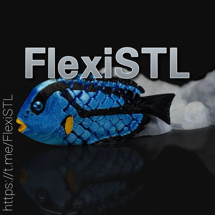 Blue_Tang